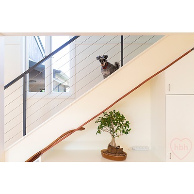 15 Wilshire Street, Dickson ACT 2602