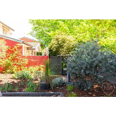15 Wilshire Street, Dickson ACT 2602