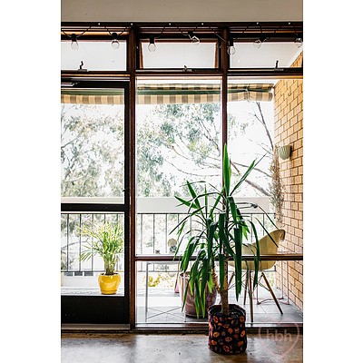 19/6 Edmondson Street, Campbell ACT 2612