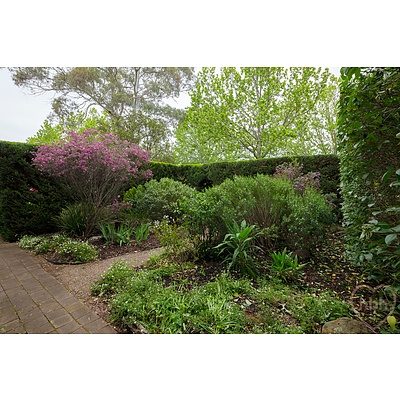 82 Cowper Street, Dickson ACT 2602