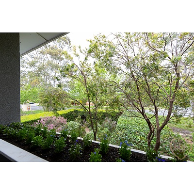 82 Cowper Street, Dickson ACT 2602