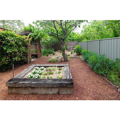 82 Cowper Street, Dickson ACT 2602