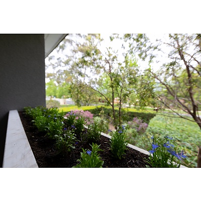 82 Cowper Street, Dickson ACT 2602