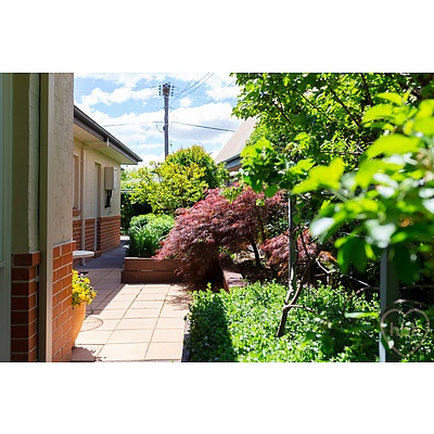 65B Tyson Street, Ainslie ACT 2602