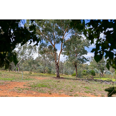 32 Canning Street, Ainslie ACT 2602