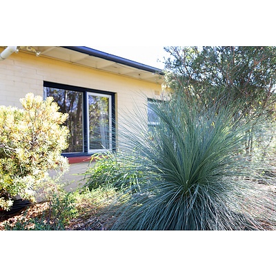 61 Sherbrooke Street, Ainslie ACT 2602