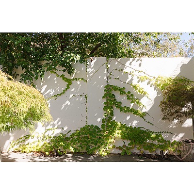 2/71 Blamey Crescent, Campbell ACT 2612