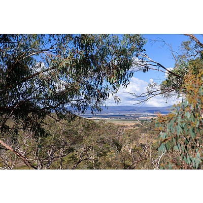 52 Yilgarn Road, Carwoola NSW 2620