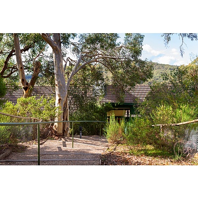 52 Yilgarn Road, Carwoola NSW 2620