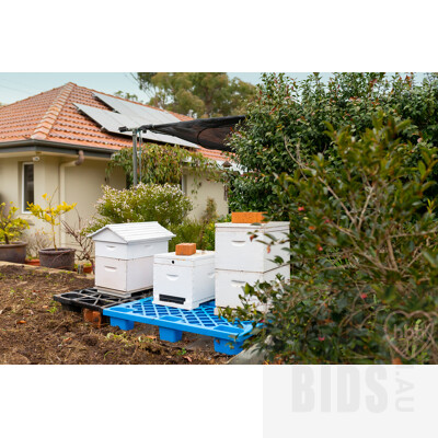 18 Higgins Crescent, Ainslie ACT 2602
