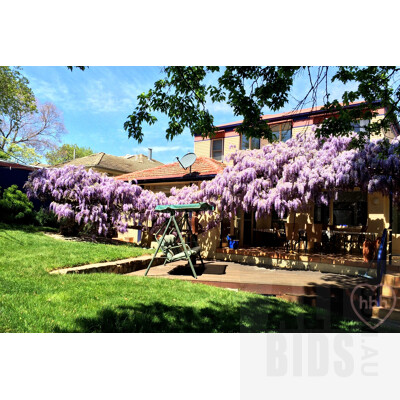 34 Bedford Street, Deakin ACT 2600