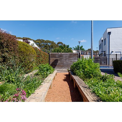 14/15 Berrigan Crescent, O'connor ACT 2602