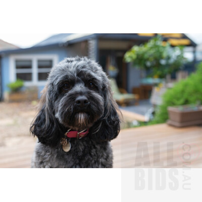 40 Crest Road, Crestwood NSW 2620