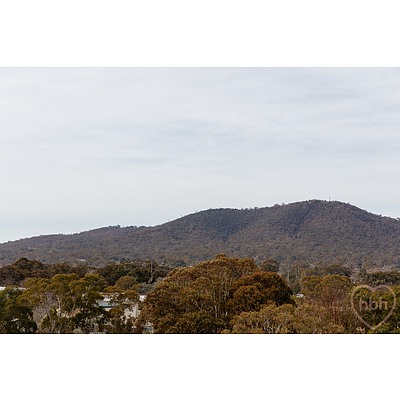 14/219a Northbourne Avenue, Turner ACT 2612