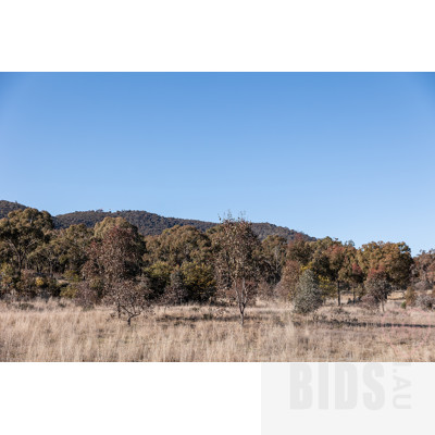2 Phillipa Weeks Street, Watson ACT 2602