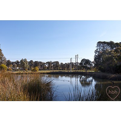 43 Bettie Mcnee Street, Watson ACT 2602