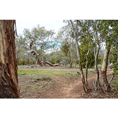 128/395 Antill Street, Watson ACT 2602