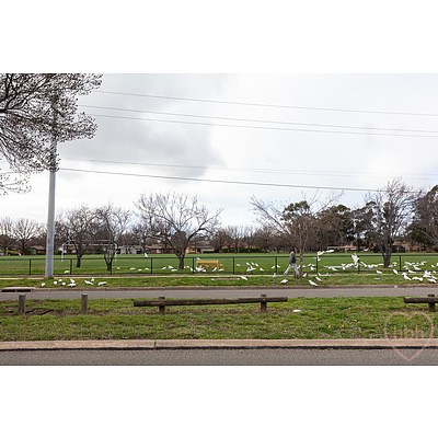 1/64 Knox Street, Watson ACT 2602