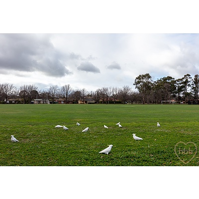 1/64 Knox Street, Watson ACT 2602