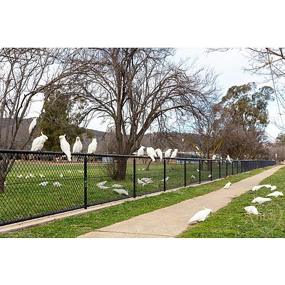 1/64 Knox Street, Watson ACT 2602