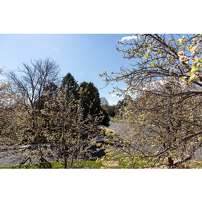 6/48 Madigan Street, Hackett ACT 2602