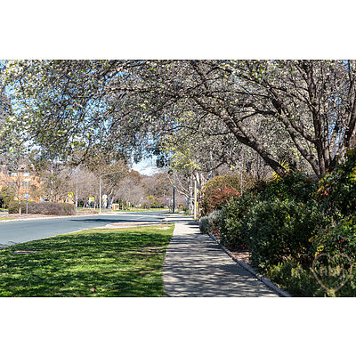 6/48 Madigan Street, Hackett ACT 2602