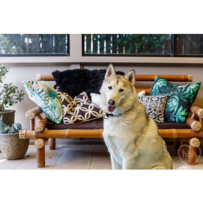 29 Mission Street, Amaroo ACT 2914