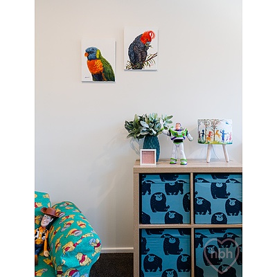 128 MacKenzie Street, Hackett ACT 2602