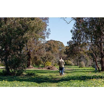 299 Antill Street, Watson ACT 2602