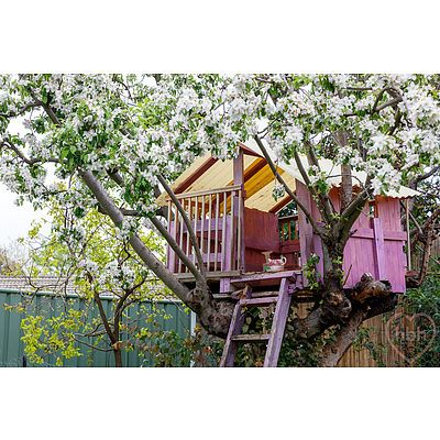 38 Banfield Street, Downer ACT 2602