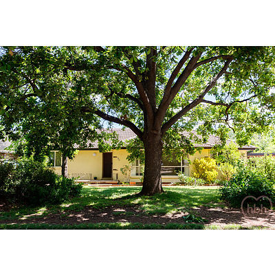 80 Irvine Street, Watson ACT 2602