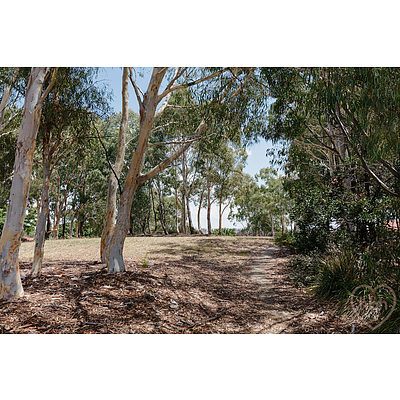 66 Sugarloaf Circle, Palmerston ACT 2913