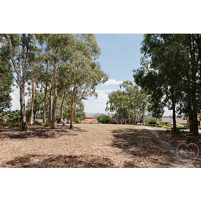 66 Sugarloaf Circle, Palmerston ACT 2913