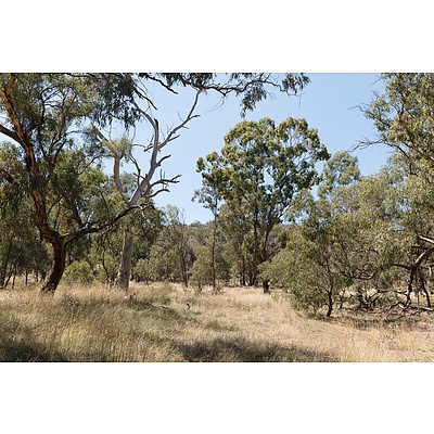 6 Richards Street, Hackett ACT 2602