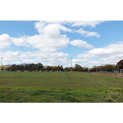 19 Mouat Street, Lyneham ACT 2602