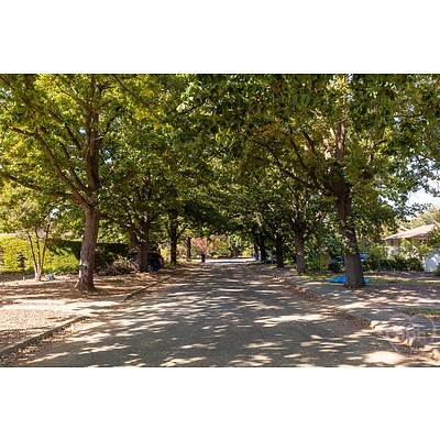 23 Durack Street, Downer ACT 2602