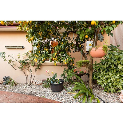 42 Phillip Avenue, Downer ACT 2602