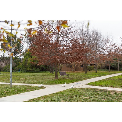 24 Macdowell Street, Evatt ACT 2617