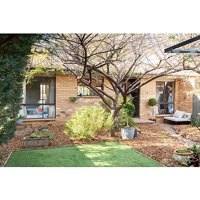 51 Biffin Street, Cook ACT 2614