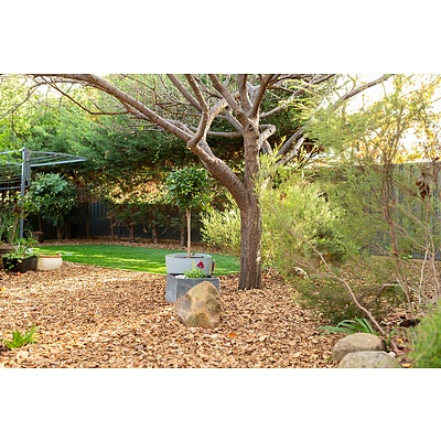 51 Biffin Street, Cook ACT 2614
