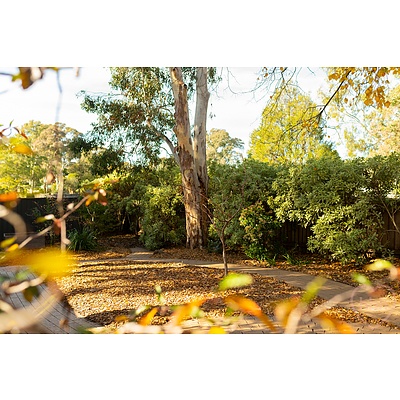 51 Biffin Street, Cook ACT 2614