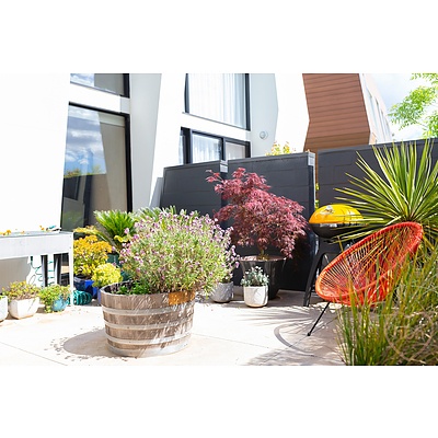 137 Thynne Street, Bruce ACT 2617