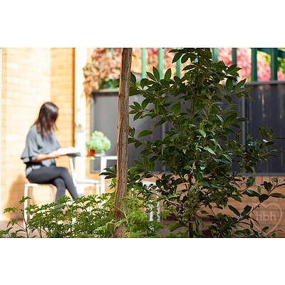 3/8 Jalanga Crescent, Aranda ACT 2614