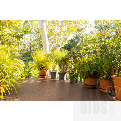 3 Janari Place, Aranda ACT 2614