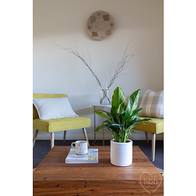 73/299 Flemington Road, Franklin ACT 2913