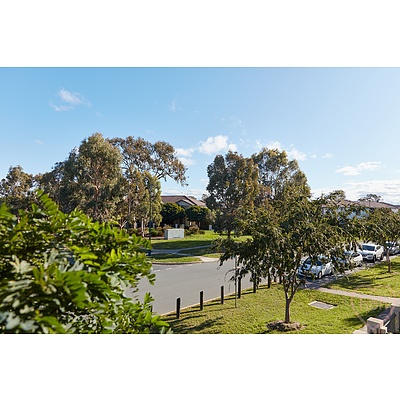 17 Cultivation Street, Harrison ACT 2914