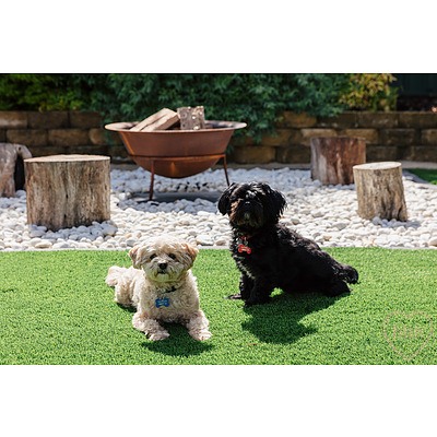 12 Beaurepaire Crescent, Holt ACT 2615