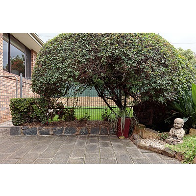 17 Callaghan Street, Evatt ACT 2617