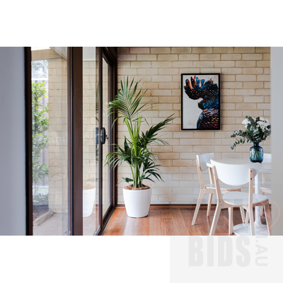 16 Levine Street, Evatt ACT 2617