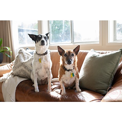 24 Halford Crescent, Page ACT 2614